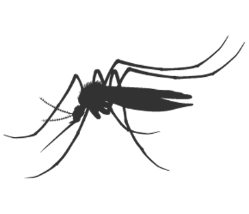 gray icon mosquito
